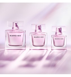 Geschenkset The Scent for Her - Eau de Parfum